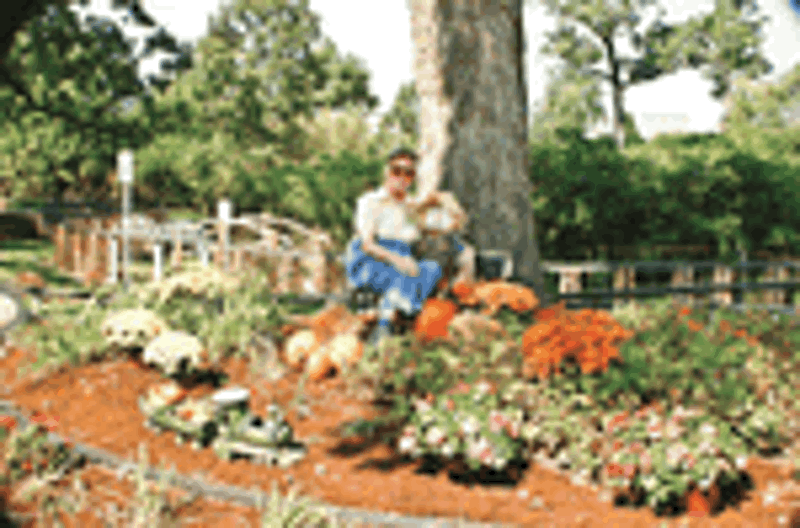 Garden-2 Garden-2
