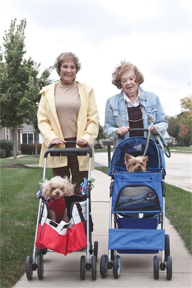 Unless weather doesn’t permit, every day Rosemary Bobrow (right) and Sheree Peck take Eleven and Tiger for walks in their customized buggies. (Photo by Chris LaPelusa/Sun Day)