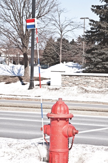 For the past few years, residents have noticed strange flag markers popping up on fire hydrants along Del Webb Blvd. (Photo by Chris LaPelusa/Sun Day)