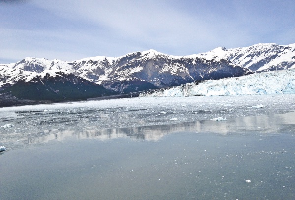 Hubbard Glacier attracts more than just tourists. Moose and bears are readily seen trekking along the blue landscape.
