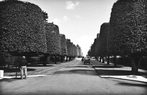 American cemetery, Normandy.