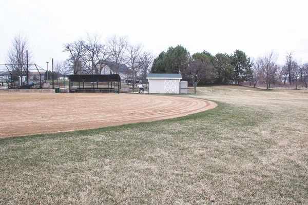 As seen here, the grass pitch down, away from the infiled into the outfield, allowing for water from the infield to pool in the playing area. (Photo by Tony Pratt/Sun Day)