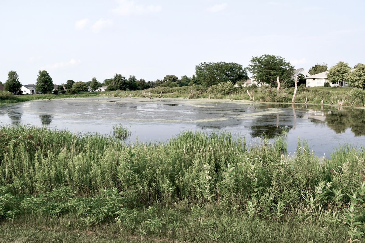 Whether known as eyesoar or natural wonder, the wetlands along Cold Springs Dr. is known by everyone in Sun City. (Photos by Christine Such/Sun Day)