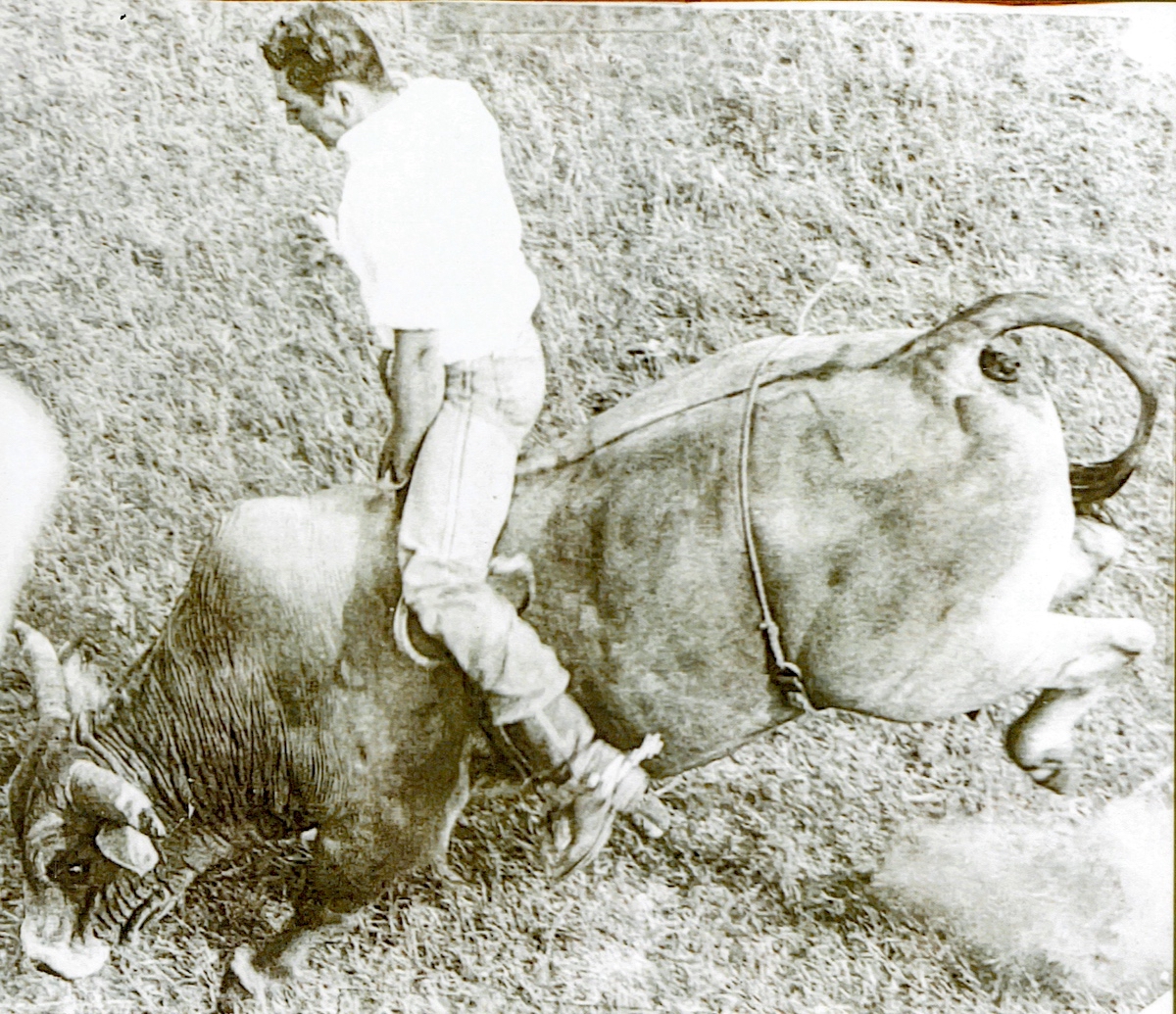 Horn riding a bull. (Photo provided)