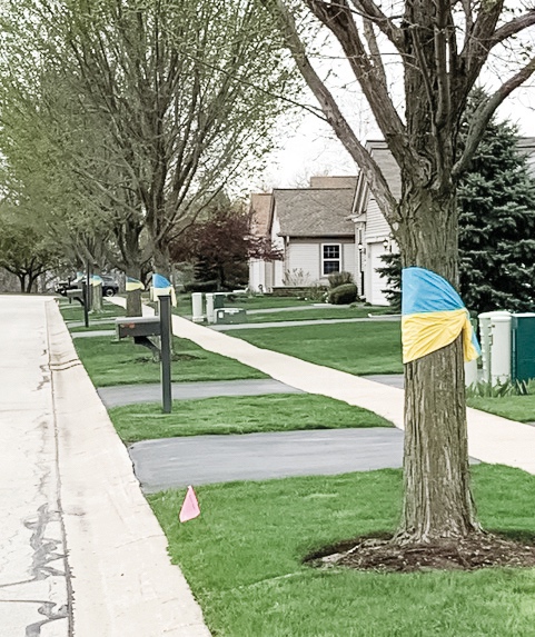 According to comments made by SCCAH Executive Director Deanna Loughran, putting ribbons to support the Ukraine on parkway trees is not permitted in the by-laws. (Photo by David Goode/My Sun Day News)