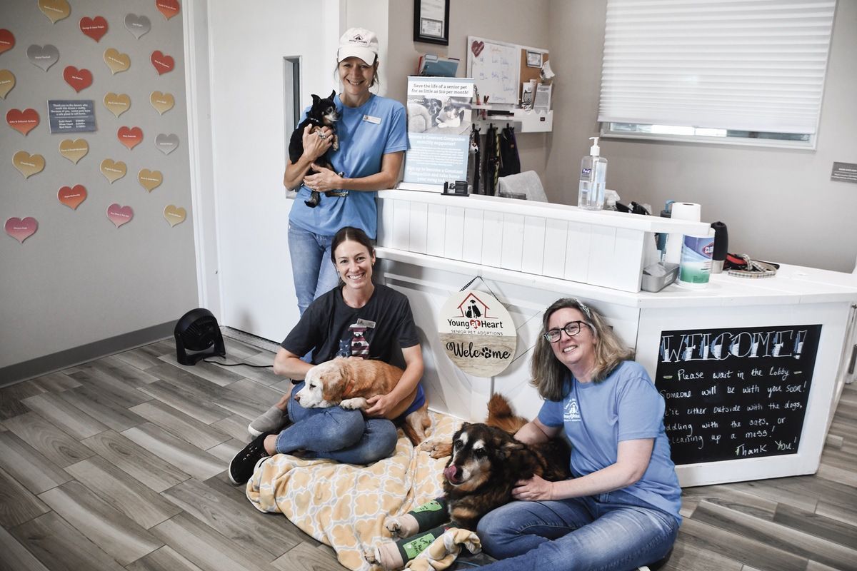 (Standing) Volunteer and Community Outreach Coordinator Sandy Bacino with Claire, (sitting left) Operations Manager Sarah Matchen with Flufferton, and Medical Director Jen Porter with Champ help connect senior pets with loving homes. (Photo by Christine Such/My Sun Day News)