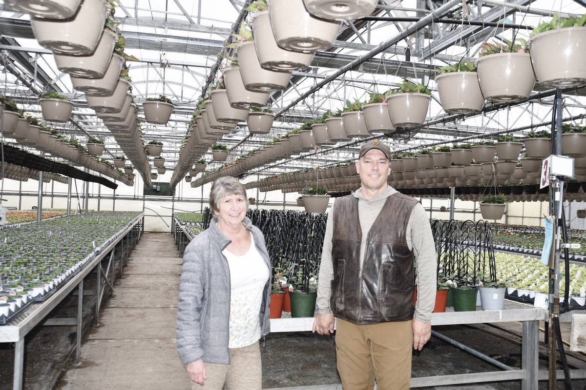 Sunflower Garden Club President Paulette Carrion with Bob Kolze of Kolze Corner Gardens at a nursery greenhouse. (Photo by Christine Such/My Sun Day News)