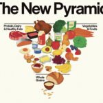 USDA releases new food pyramid, turning the world of nutrition upside down, literally, by inverting the dietary structure from previous versions. (Illustration provided)