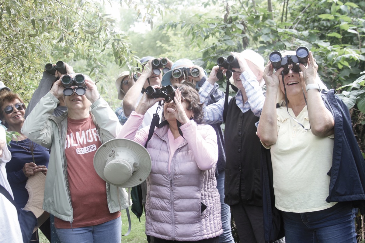 Sun City Birdwatchers Club members point binoculars to help see birds during a walk at Del Webb Sedge Meadow and Grove Nature Preserve. (Photo by Steve Peterson/My Sun Day News)